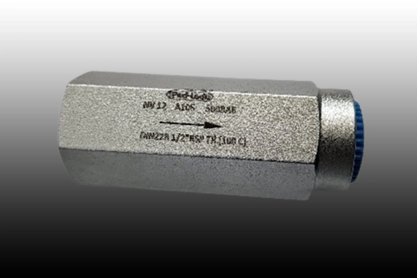 Check Valve Manufacturer