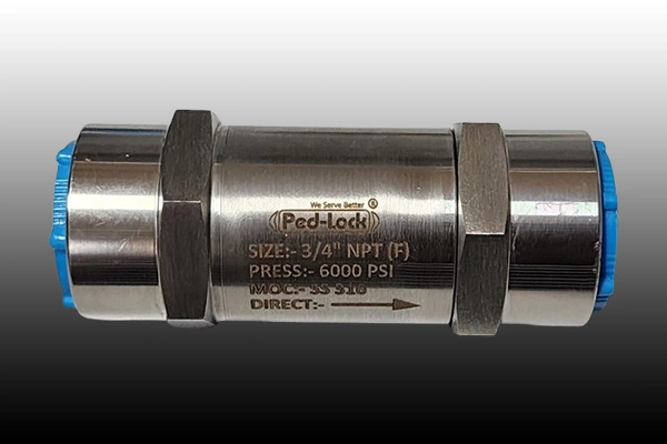 SS Check Valve Manufacturer