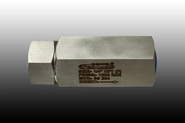 SS Check Valve Supplier