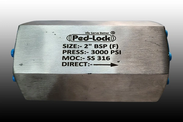 Instrument Check Valve Manufacturer