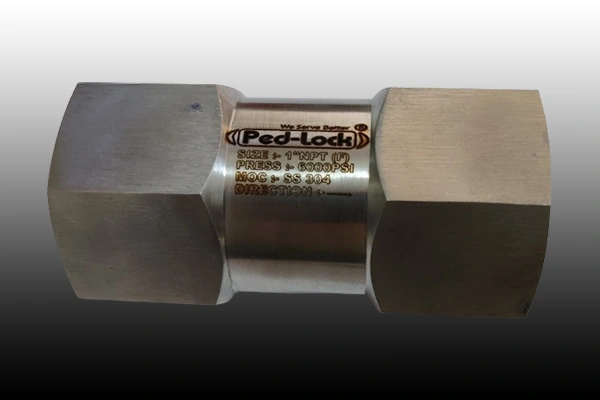 SS Check Valve Supplier in Goa