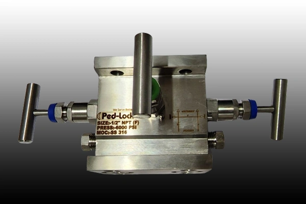 Instrument Manifolds Valves Supplier in Punjab