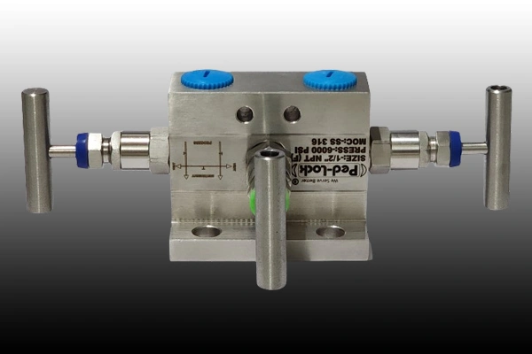 SS Manifolds Valves Supplier in Maharastra