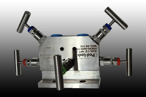 Instrument Manifolds Valves Manufacturer in Haryana