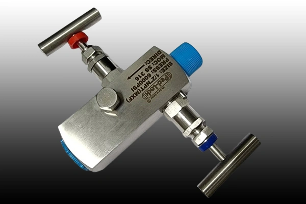 SS Manifolds Valves Manufacturer in Telangana