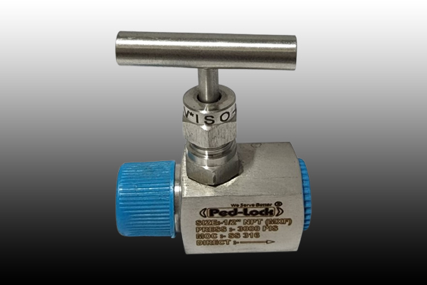 SS Needle Valve Supplier in Delhi