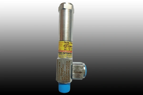 Safety Valve Manufacturer in Haryana