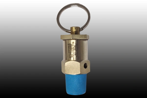 Safety Valve Supplier in Himachal Pradesh