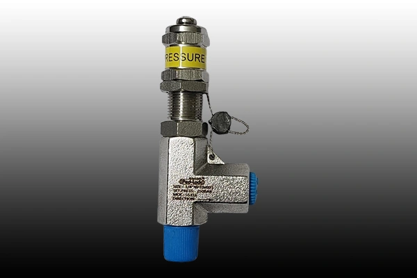 Pressure Safety Valve Manufacturer in Chattishgarh